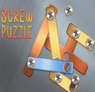 Screw Puzzle